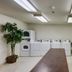 Laundry facility