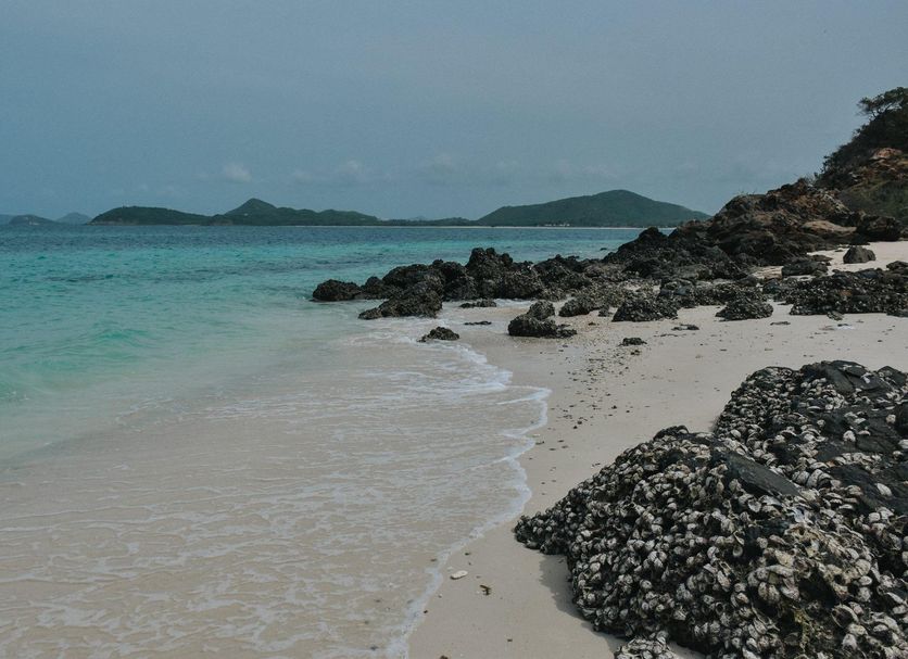 Beach Photo